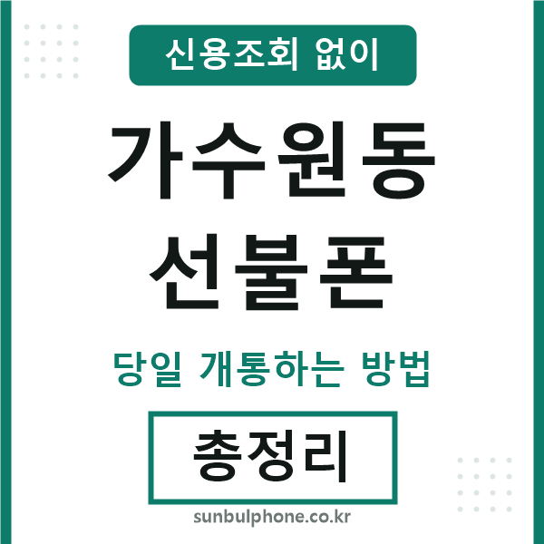 가수원동선불폰