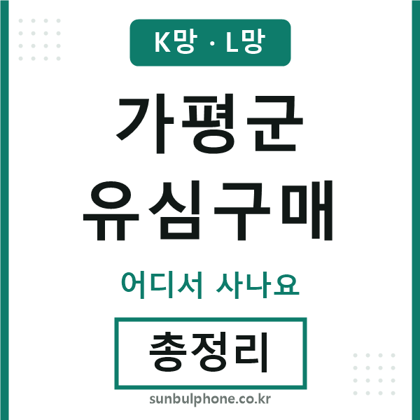 가평군 유심구매