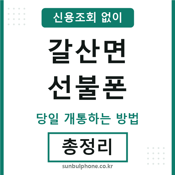 갈산면선불폰