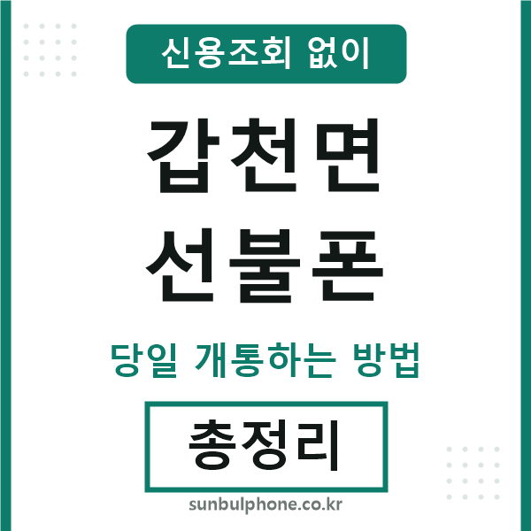갑천면선불폰