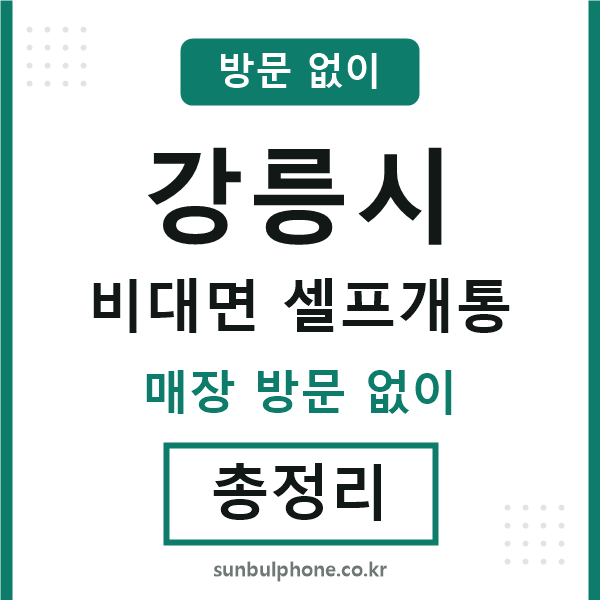 강릉 비대면 셀프개통