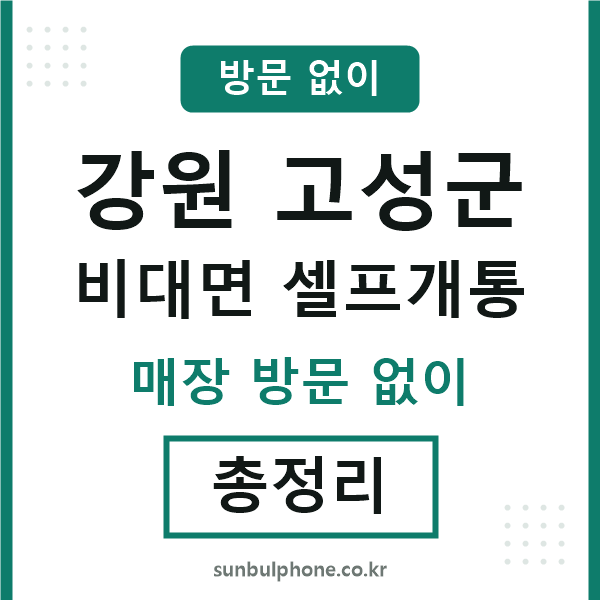 고성 비대면 셀프개통