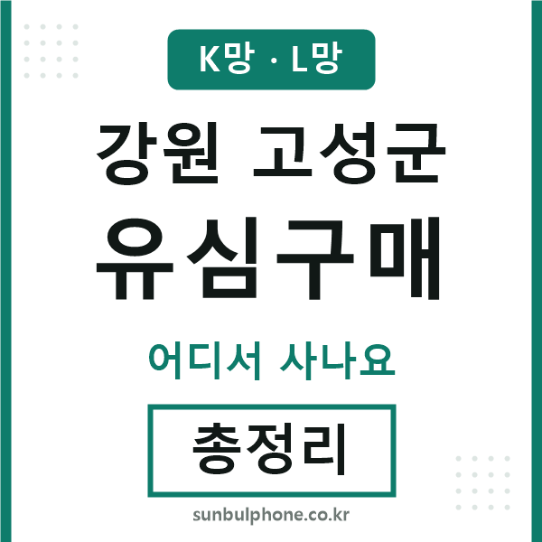 고성 유심구매