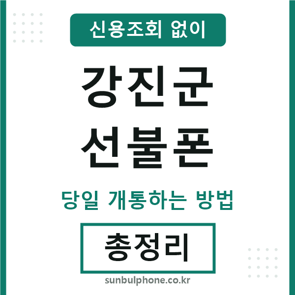 강진군선불폰