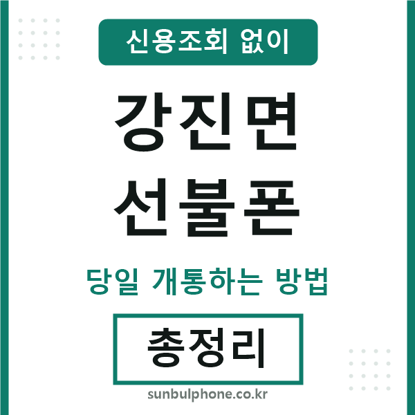 강진면선불폰