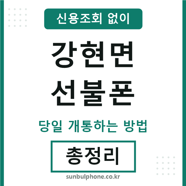 강현면선불폰