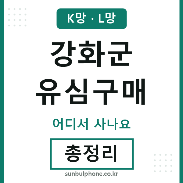 강화군 유심구매