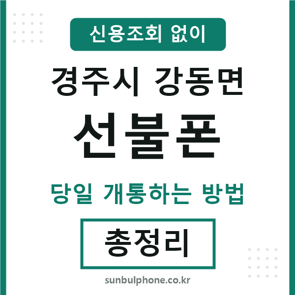경주시강동면선불폰