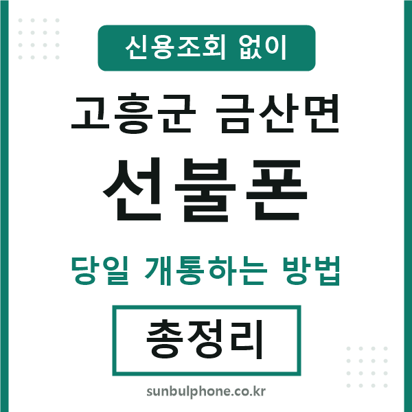 고흥군금산면선불폰