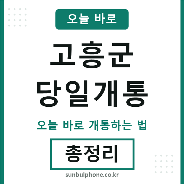 고흥 당일개통