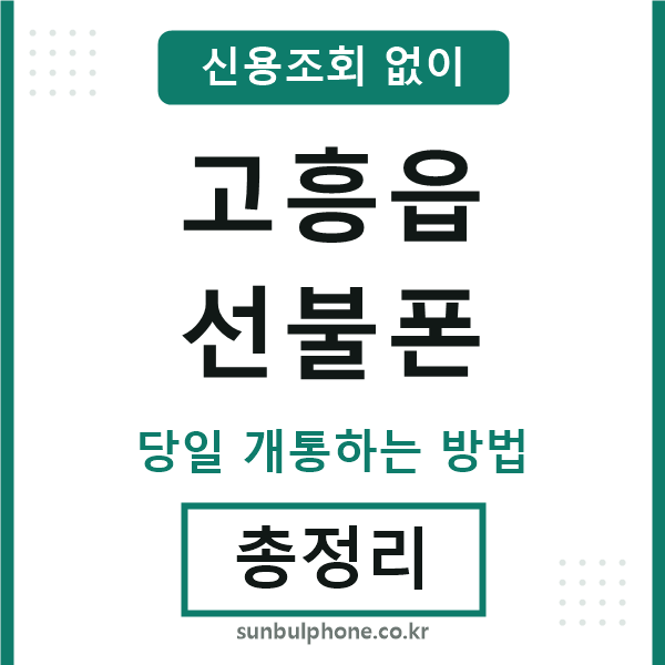 고흥읍선불폰
