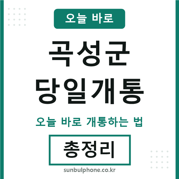 곡성군 당일개통