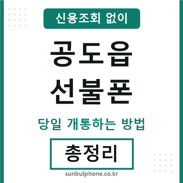 공도읍선불폰