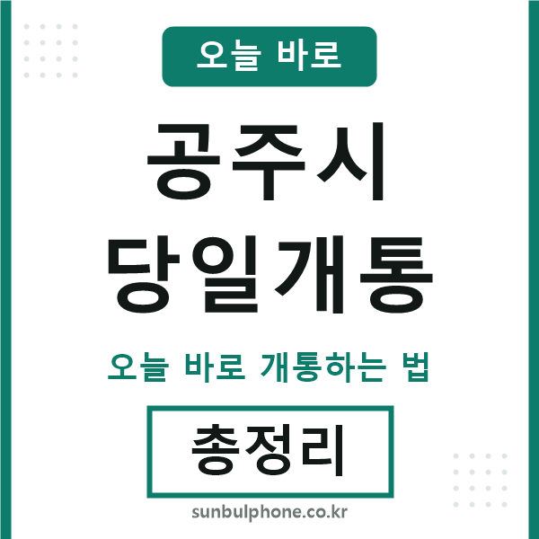 공주 당일개통