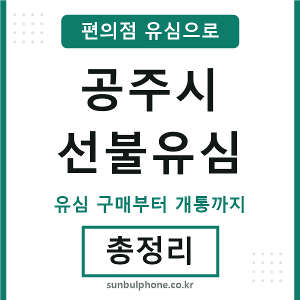 공주선불유심