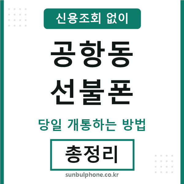 공항동선불폰
