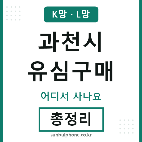 과천 유심구매