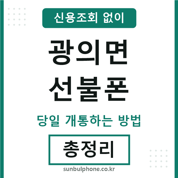 광의면선불폰