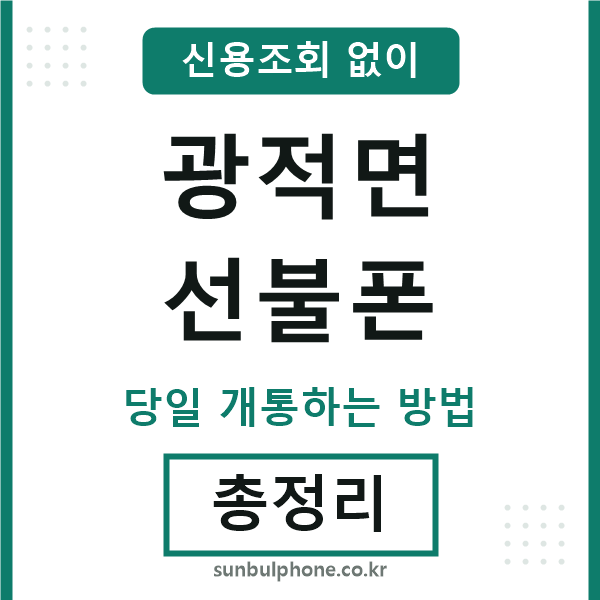 광적면선불폰