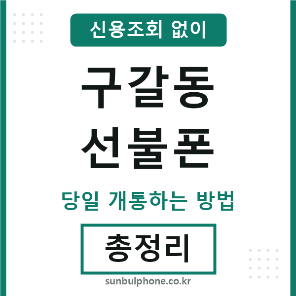 구갈동선불폰