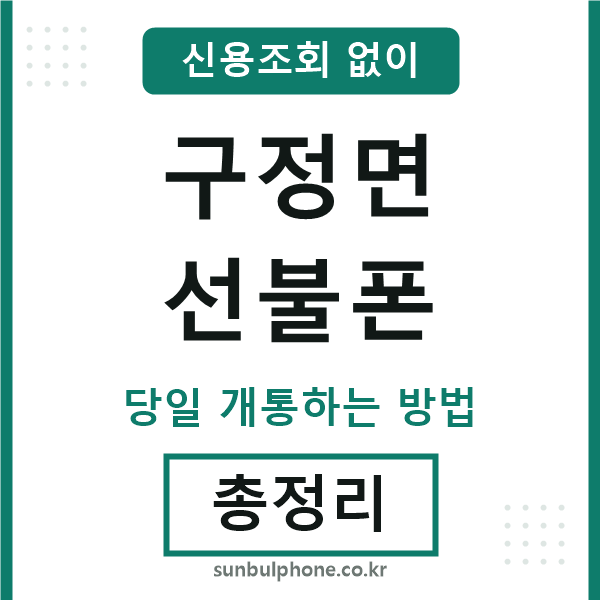 구정면선불폰