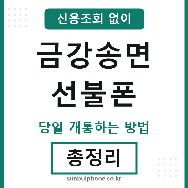 금강송면선불폰