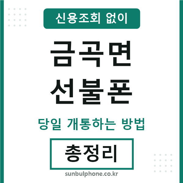 금곡면선불폰