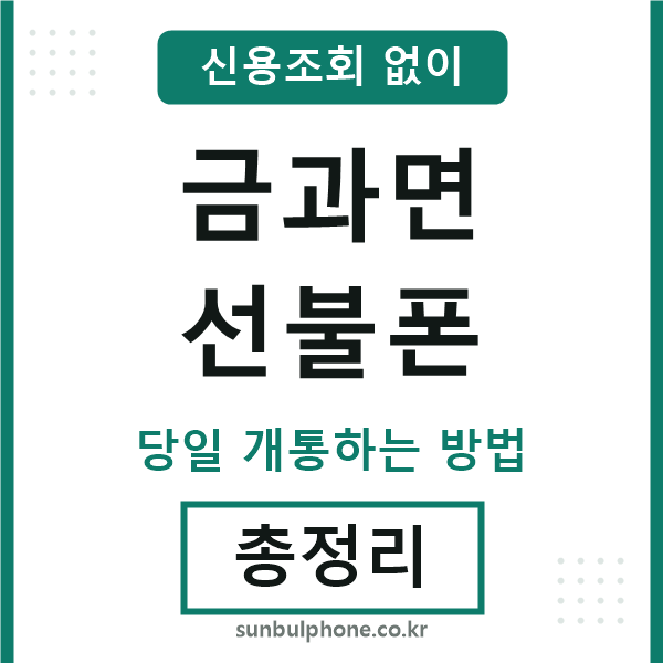 금과면선불폰