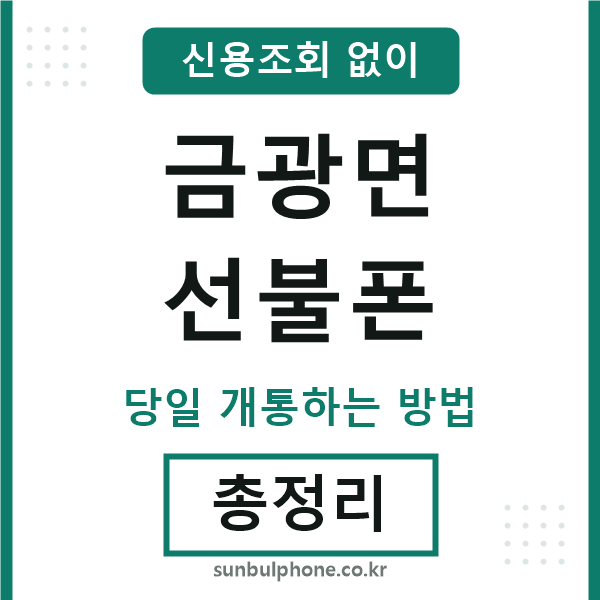 금광면선불폰