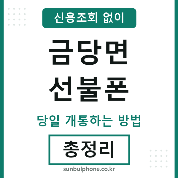 금당면선불폰