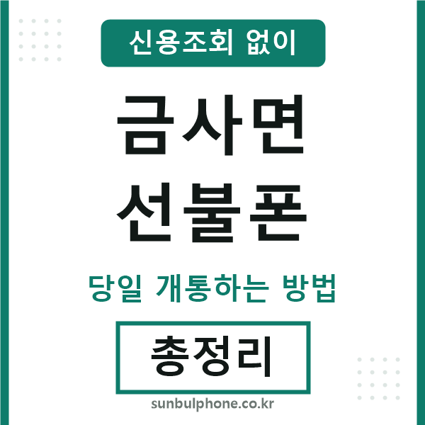 금사면선불폰
