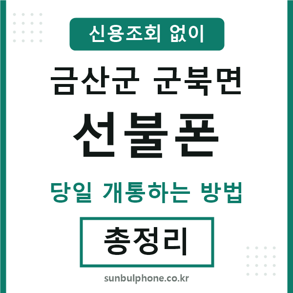 금산군군북면선불폰