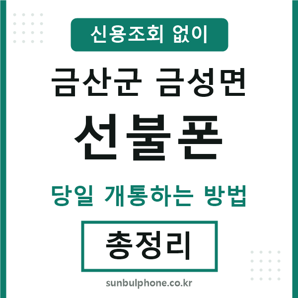 금산군금성면선불폰