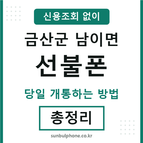 금산군남이면선불폰