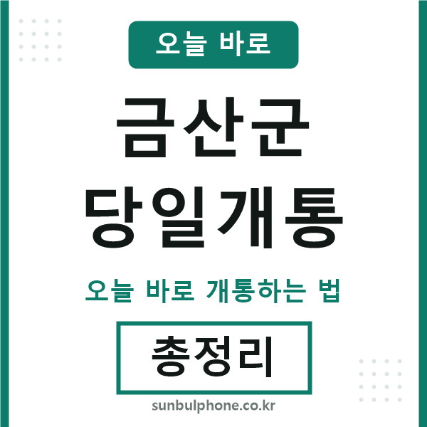 금산 당일개통