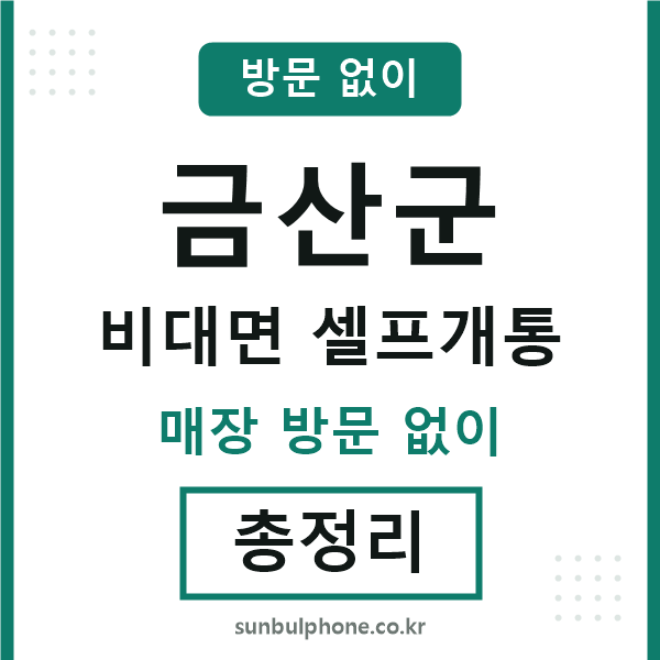 금산 비대면 셀프개통