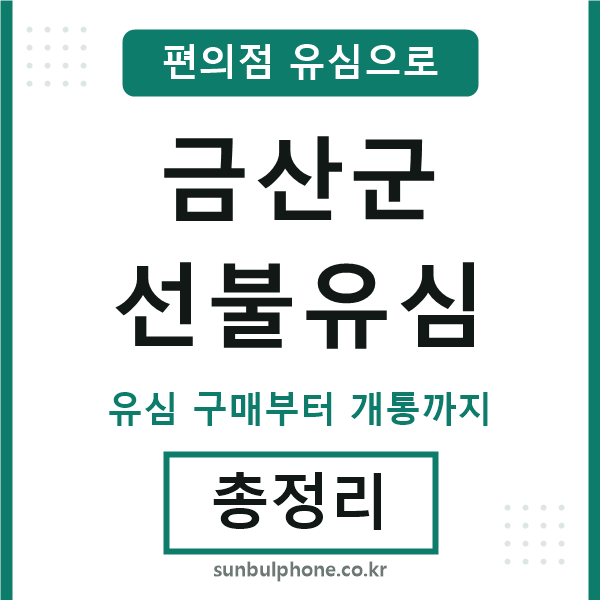 금산군선불유심