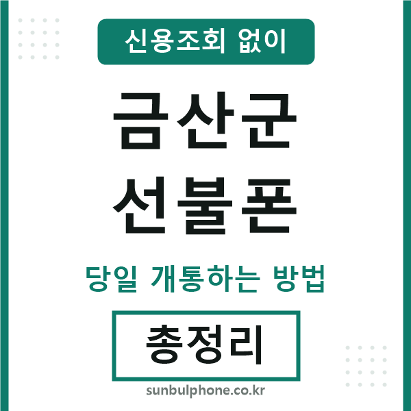 금산군선불폰