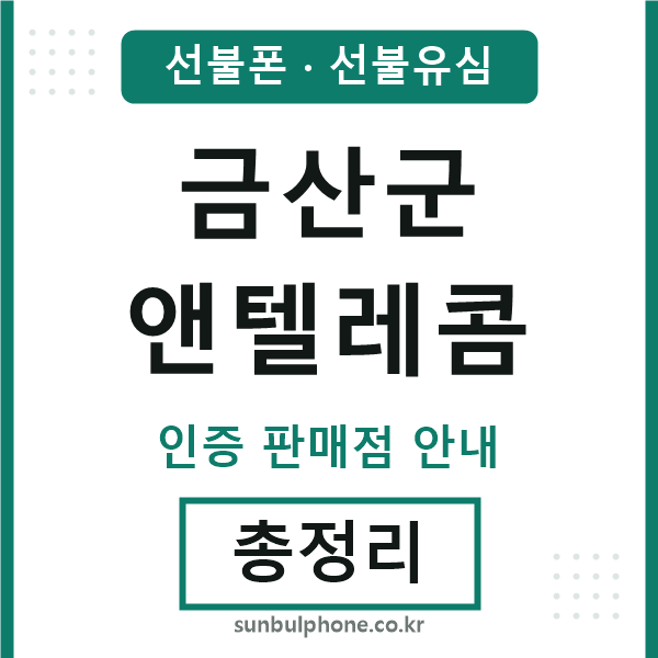 금산엔텔레콤