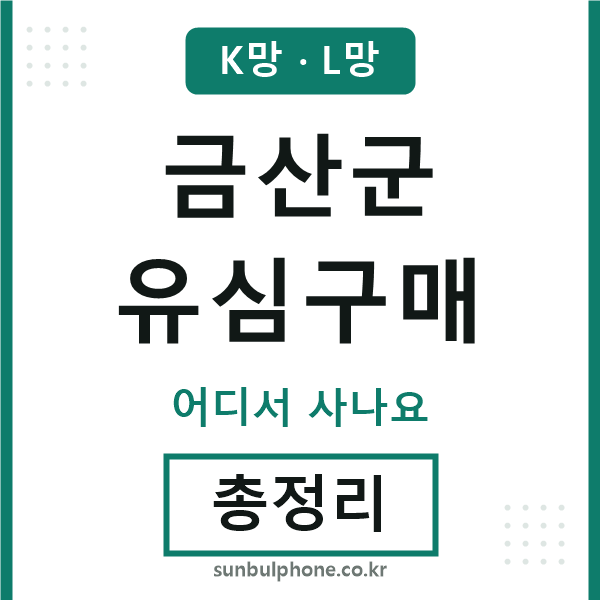 금산 유심구매