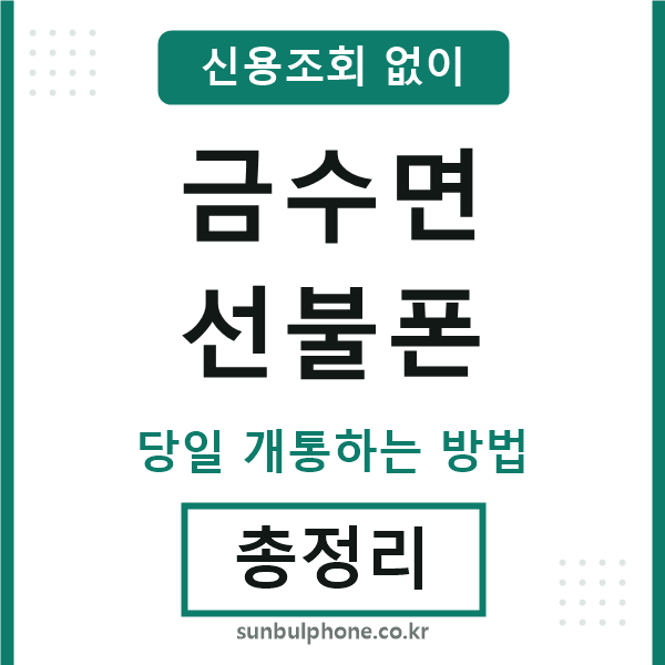 금수면선불폰