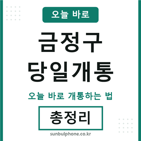 금정 당일개통
