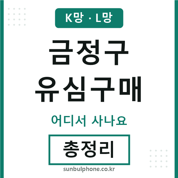 금정 유심구매