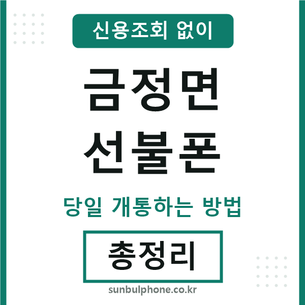 금정면선불폰