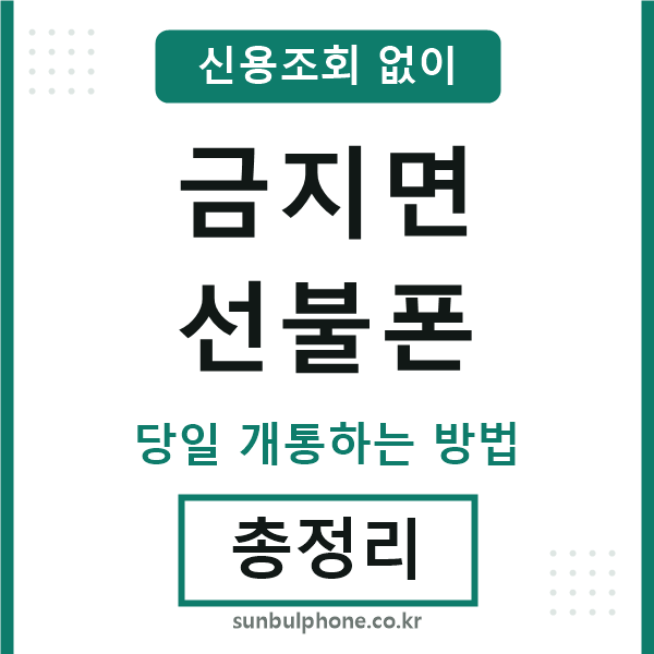 금지면선불폰