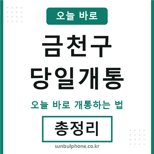 금천 당일개통