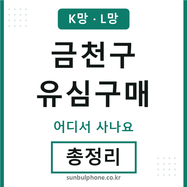 금천구 유심구매