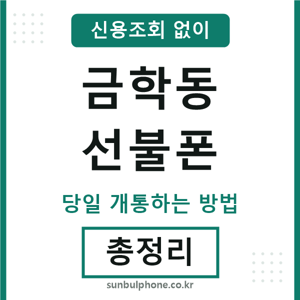 금학동선불폰