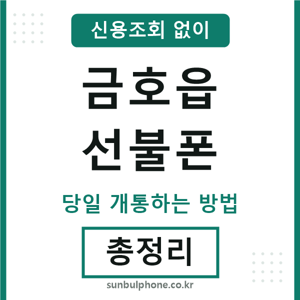 금호읍선불폰