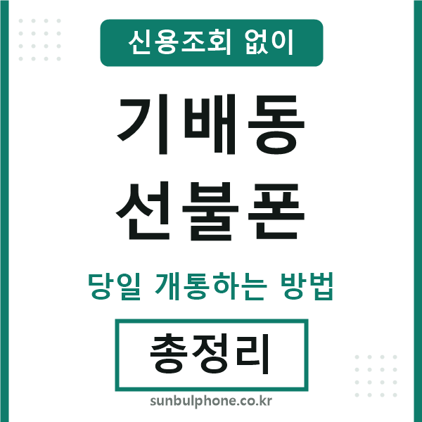 기배동선불폰